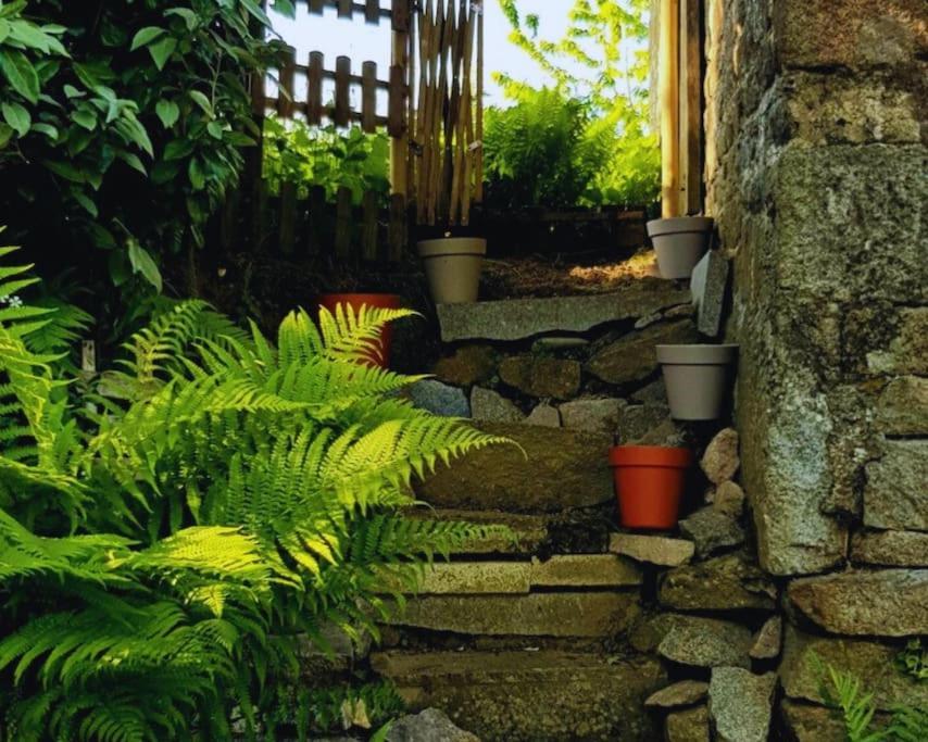 Maison En Pierre Au Milieu Du Bocage Coulouvray-Boisbenatre Ngoại thất bức ảnh